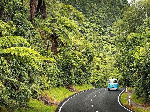 Đảo Bắc New Zealand.