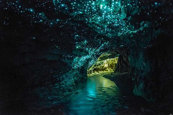 Vùng đất thần tiên ở Waitomo.