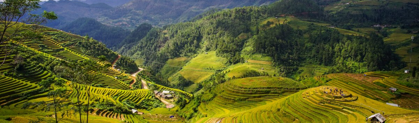 Thung lũng Mai Châu (Hòa Bình) - nơi được mệnh danh là thủ phủ của đồng bào dân tộc người Thái.