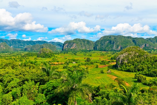 Màu xanh mượt của cà thung lũng Vinales.