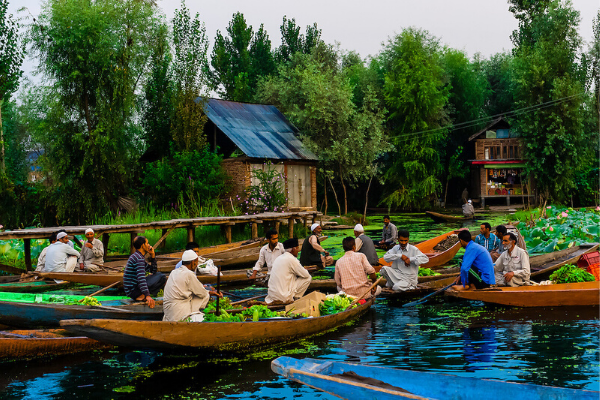 chợ nổi trên hồ Dal khi du lịch Kashmir