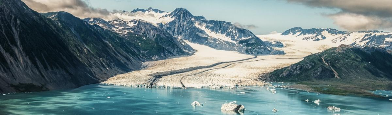 Sông băng Bear Glacier là dòng sông băng lớn nhất vườn quốc gia Vịnh hẹp Kenai. Sông băng Bear Glacier đổ xuống bình nguyên tạo thành một sông băng kiểu Piedmont hình dĩa độc đáo.