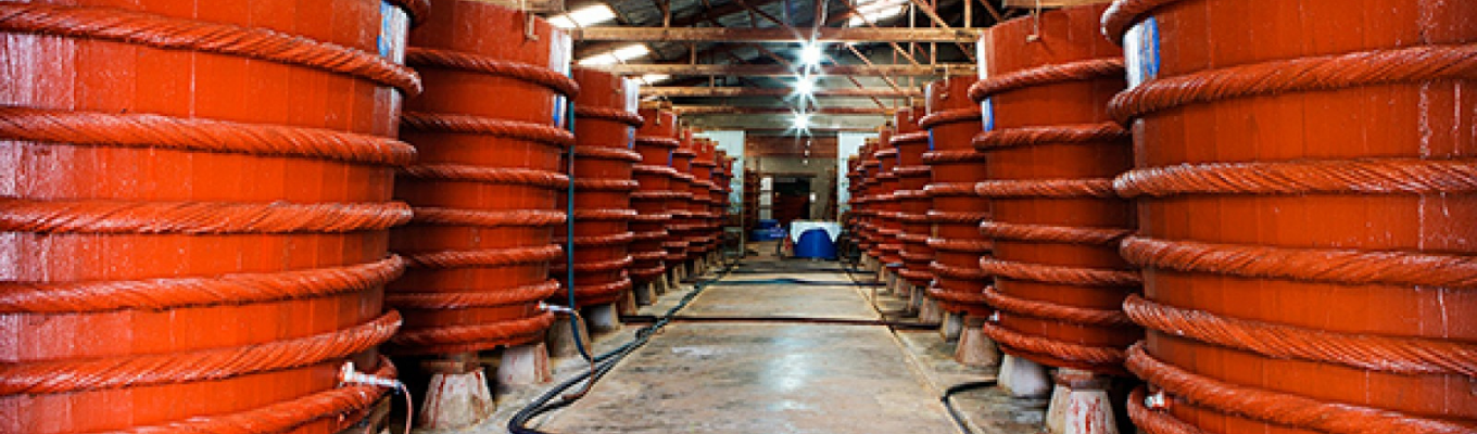 Nhà thùng sản xuất nước mắm nổi tiếng Phú Quốc - loại nước mắm với hàm lượng dinh dưỡng cao, được chế biến từ loại cá cơm Than và Sọc Tiêu.
