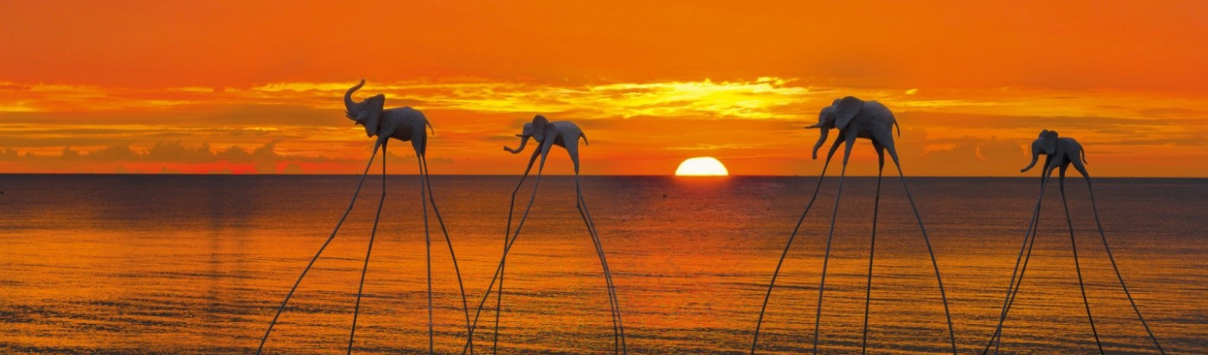 Sunset Sanato điểm đến thu hút nhũng bức ảnh “triệu like”. Du khách sẽ được ngắm hoàng hôn tuyệt đẹp trên 1 bãi biển lung linh- huyền ảo và đầy lãng mạn, chứng kiến thấy những “chú voi, chú cá đi bộ trên biển” hay những chú sứa bay bồng bềnh trên bãi biển.