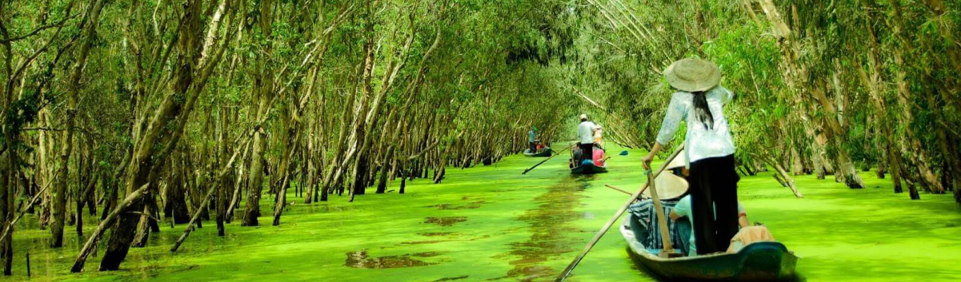 Rừng tràm Trà Sư trải rộng trên diện tích 845ha với hệ sinh thái rừng ngập nước đặc trưng phía Tây sông Hậu cùng nhiều loài động thực vật đa dạng quý hiếm. 