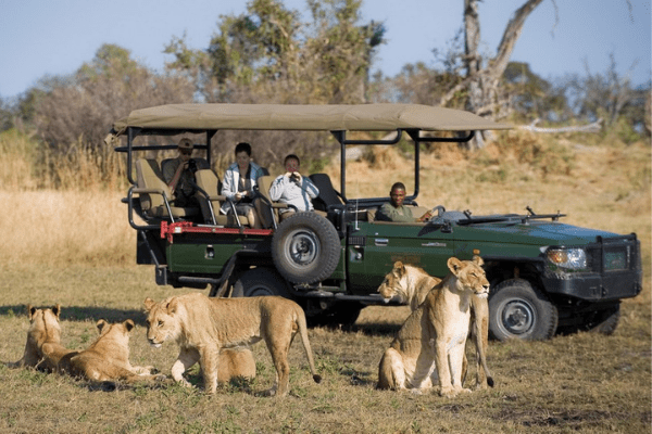 Game drive ở Chobe