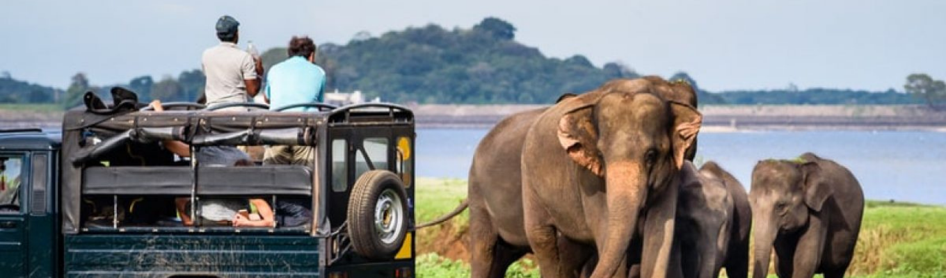 Vườn bảo tồn quốc gia với diện tích gần 1000 km2 được Sri Lanka công nhận là khu bảo tồn đặc chủng năm 1900, với nhiều loài đặc chủng của Sri Lanka như Voi, Báo và Chim thủy sinh…