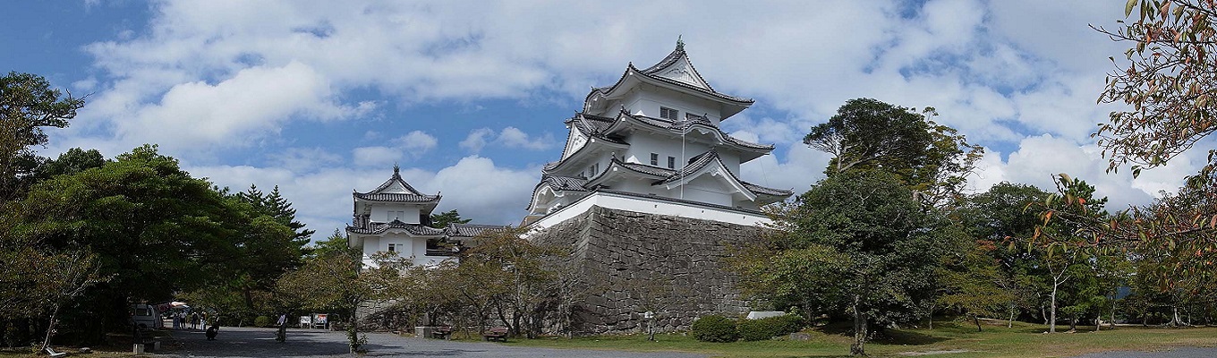 Không giống như nhiều lâu đài khác của Nhật Bản được xây dựng lại vào thế kỷ 20 bằng bê tông, Lâu đài Ueno được phục dựng từ gỗ. Điều này mang lại một vẻ đẹp nguyên bản và bầu không khí cổ kính cả bên trong lẫn bên ngoài. Những bức tường đá ở phía tây của lâu đài là công trình tường đá lâu đài cao nhất ở Nhật Bản với độ cao ấn tượng 30 mét.