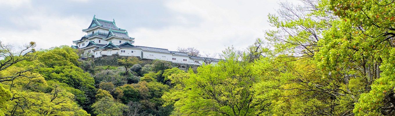 Trong phần lớn Thời kỳ Edo, Lâu đài Wakayama là trung tâm hành chính của Miền Kishū, được kiểm soát bởi một nhánh thiếu sinh quân của gia tộc Tokugawa . Do quy mô và vị thế của nó, Lâu đài Wakayama được xếp hạng là một trong những lâu đài quan trọng nhất dưới thời Mạc phủ Tokugawa.