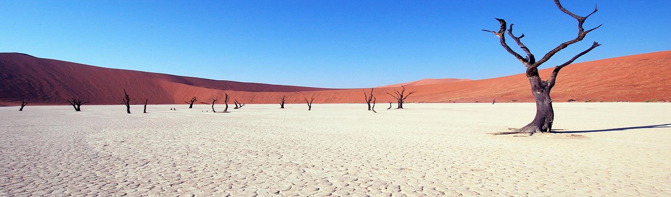 Sossusvlei được mệnh danh là "vùng đất ngoài hành tinh". Nếu so sánh sự ngoạn mục của lòng chảo Soussusvlei với một nơi nào khác trên Trái đất thì dường như bất khả thi. Khu vực có những cành cây keo chết khô, xám đen và trơ trụi, vì ánh nắng mặt trời quá nóng mà không thể phân hủy giữa sa mạc.