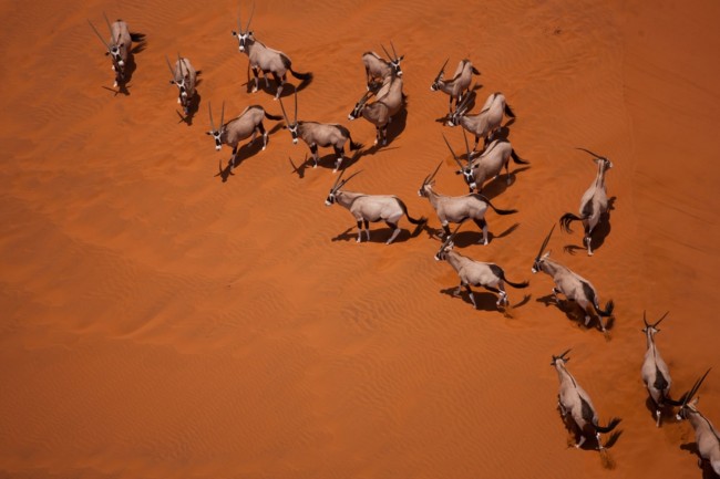 du lịch Namibia