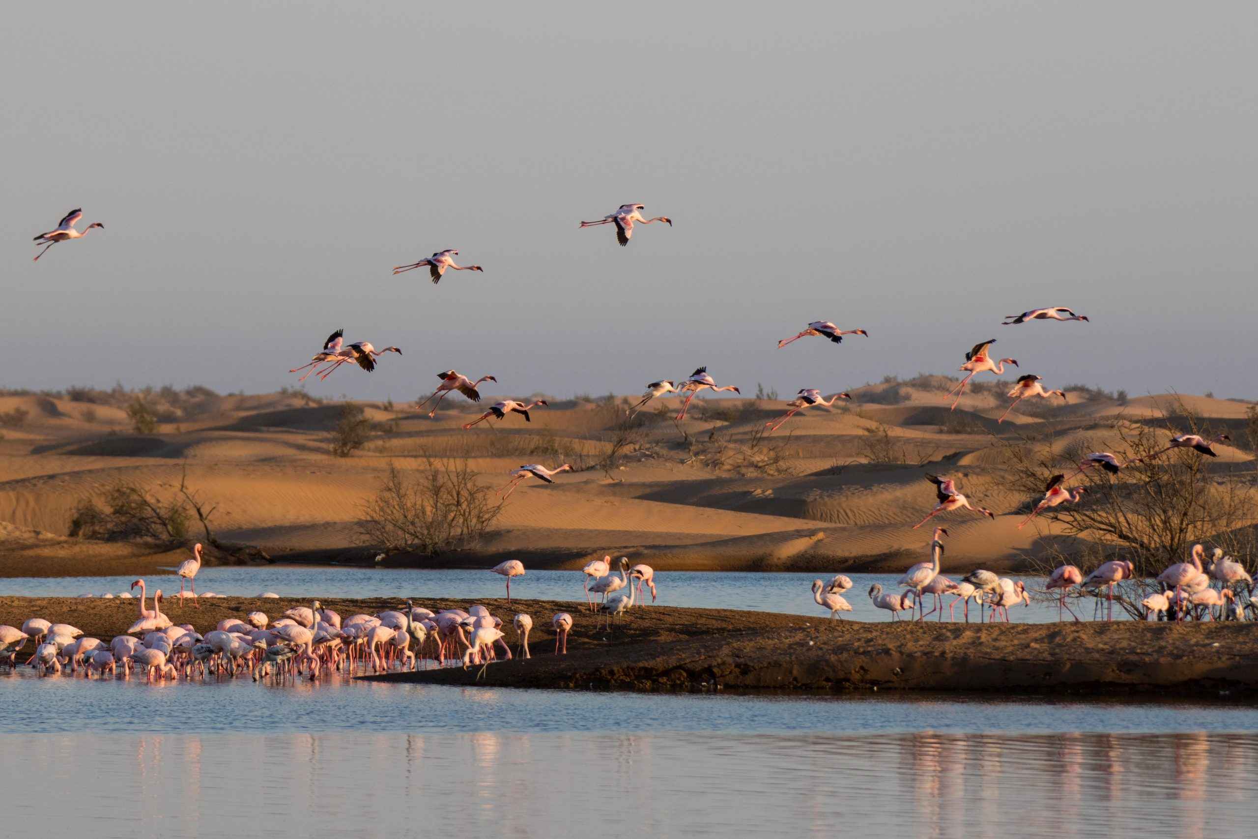 du lịch namibia