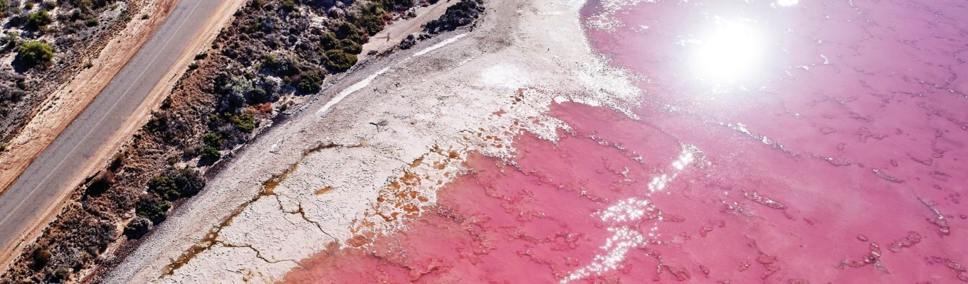Bởi lẽ thảm thực vật tảo kỳ lạ là Beta – Carotene sản sinh ra sắc tố màu đỏ cam, đã tạo nên sắc đỏ hồng độc nhất vô nhị của Hutt Lagoon.