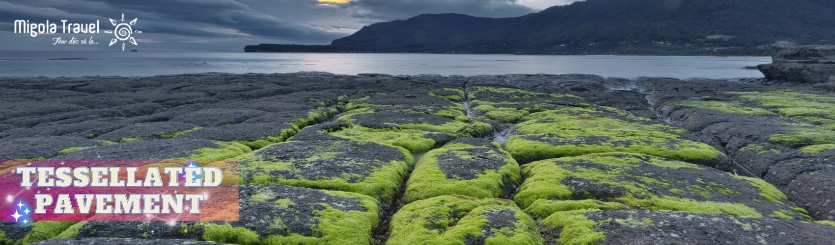 Bờ đá Tessellated Pavement: kì quan thiên nhiên thú vị này được thiên nhiên gọt dũa trông từ xa như một vỉa hè được đan lát những ô gạch khổng lồ chạy dài ra bờ biển.