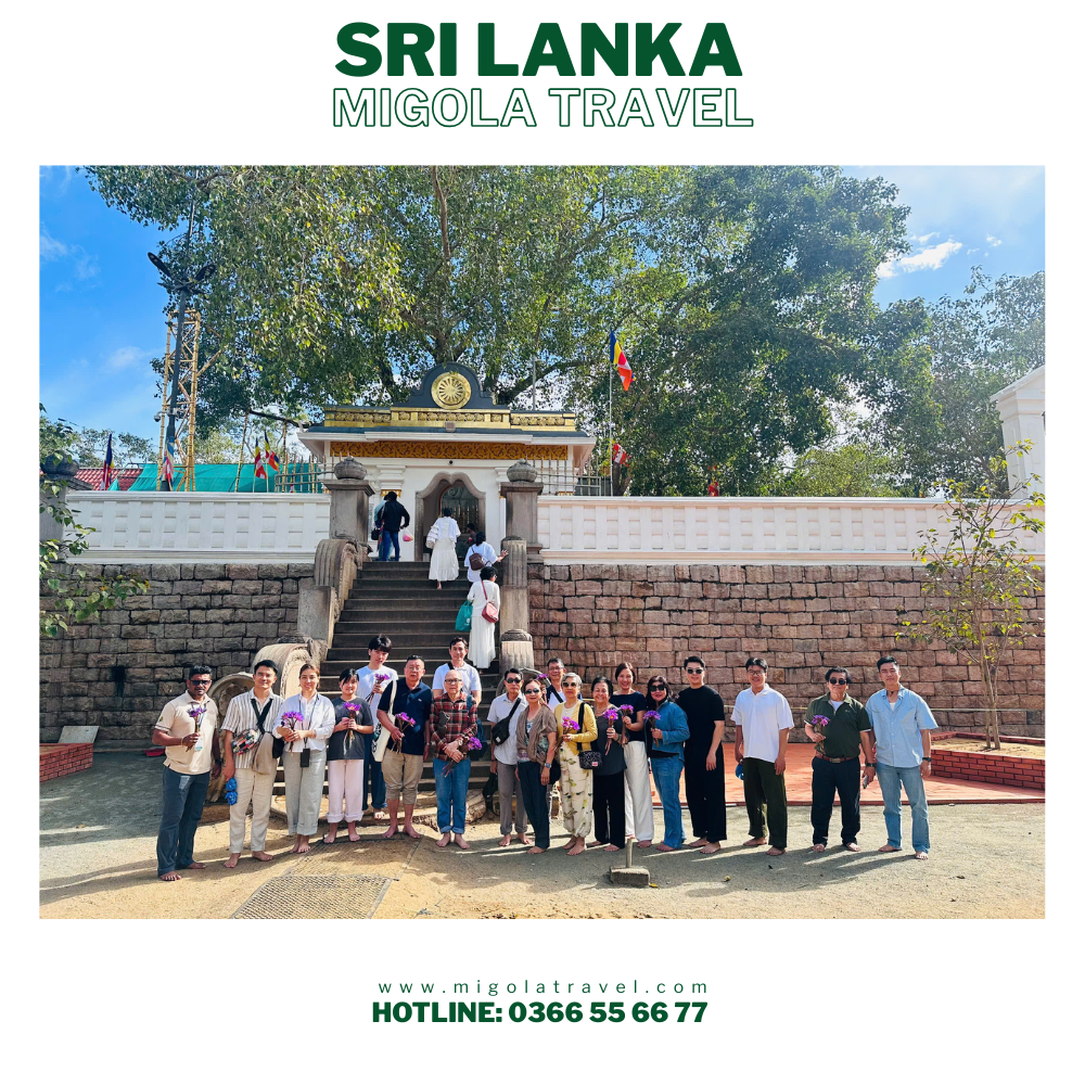 CẬP NHẬT HÌNH ẢNH TOUR SRI LANKA (KH 19/02/2026)