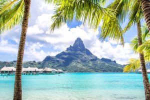 Bản sao của WEB PICS 2