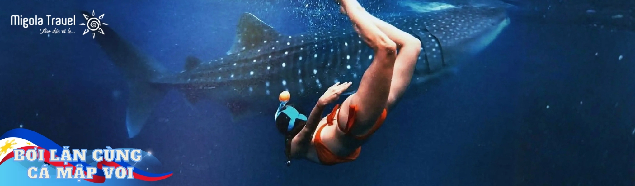 Khác với sự đông đúc của Oslob, khu vực Lila mang đến trải nghiệm tiếp cận "những gã khổng  lồ hiền lành" một cách dễ dàng và thân thiện hơn. Quý khách sẽ có cơ hội lặn ngắm ở khoảng cách gần, quan sát những đốm hoa văn độc bản trên lưng cá mập voi và cảm nhận sự nhỏ bé của con người trước thiên nhiên hùng vĩ.