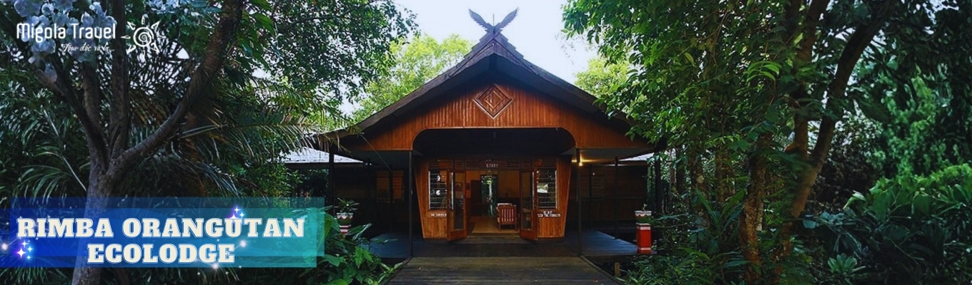 Rimba Orangutan Ecolodge là một “trạm dừng” được thiết kế để con người có thể tồn tại hài hòa trong lòng rừng nhiệt đới Borneo. Nằm sâu bên trong Vườn quốc gia Tanjung Puting, ecolodge này không tách biệt khỏi thiên nhiên, mà gần như hòa tan vào hệ sinh thái xung quanh.