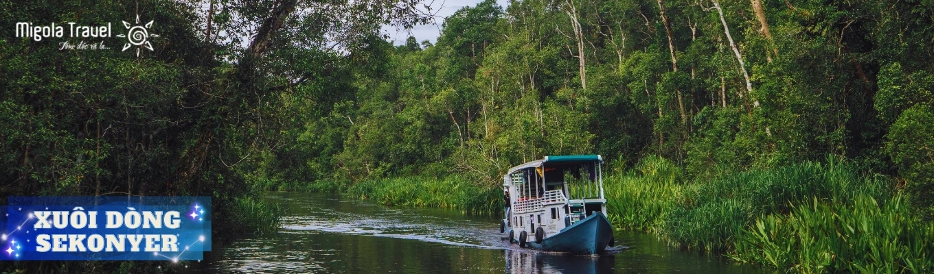 Lên thuyền gỗ truyền thống Klotok – phương tiện đặc trưng của người dân địa phương. thiết kế đơn giản nhưng tối ưu cho việc di chuyển trong hệ thống sông ngòi dày đặc. Thuyền có tầng trên mở – nơi lý tưởng để quan sát thiên nhiên. 