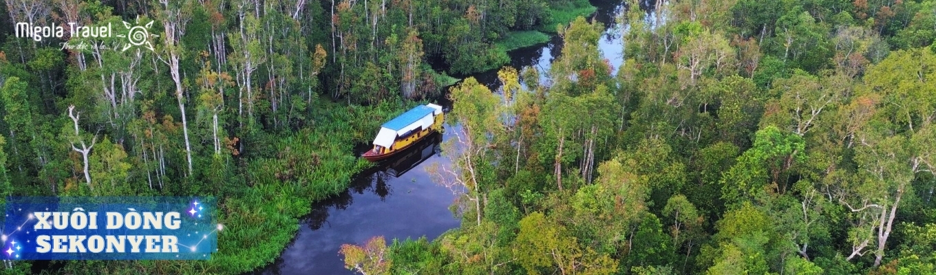 Hành trình xuôi theo dòng sông Sekonyer đưa quý khách tiến sâu vào Vườn quốc gia Tanjung Puting. Tanjung Puting National Park có diện tích hơn 4.000 km². Là khu bảo tồn đười ươi lớn nhất Indonesia Đồng thời là nơi sinh sống của hàng trăm loài chim, bò sát và động vật đặc hữu