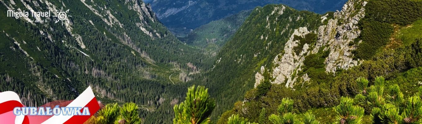 Đỉnh Gubałówka: Quý khách trải nghiệm xe ngắm cảnh lên đỉnh núi để chiêm ngưỡng toàn cảnh 
Zakopane cùng những mái nhà gỗ đặc trưng nằm trải dài giữa thung lũng