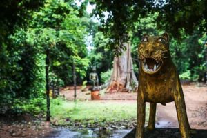 Bản sao của WEB PICS 2
