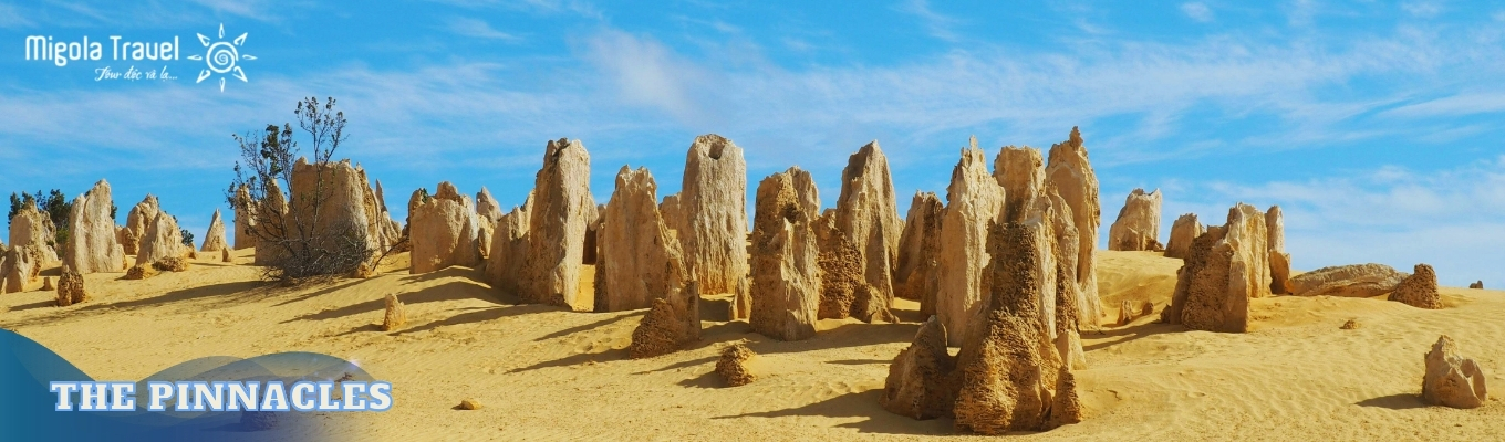The Pinnacles – vùng sa mạc nổi tiếng với hàng nghìn cột đá vôi tự nhiên nhô lên giữa những triền cát vàng. Những cột đá có hình dạng và kích thước khác nhau tạo nên một cảnh quan kỳ lạ, như một “rừng đá” giữa sa mạc